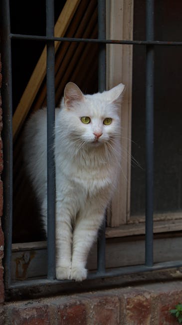 De kat