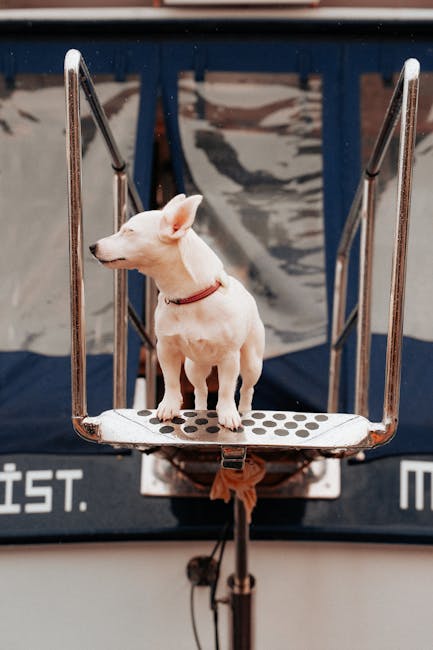 De hond