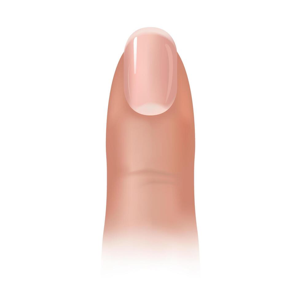 De nagel
